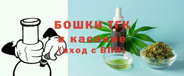 стаф Абаза