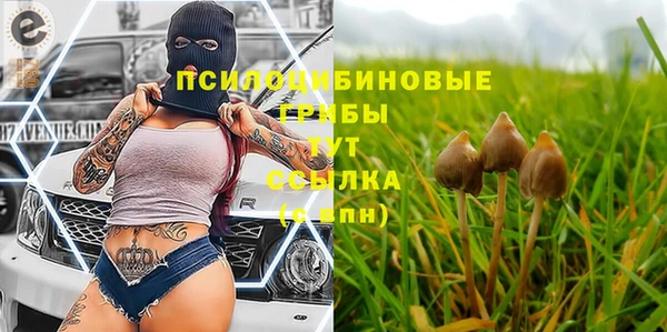 стаф Абаза