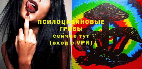 молекула духа Абинск