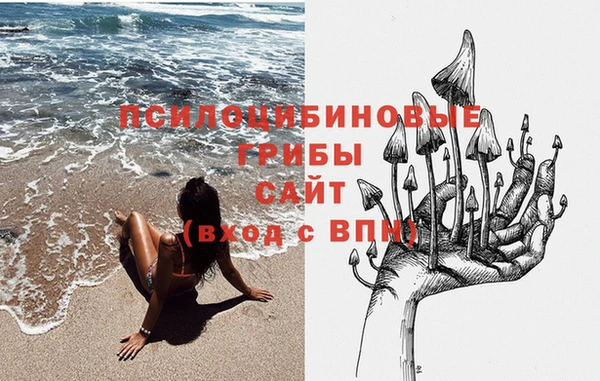 стаф Абаза