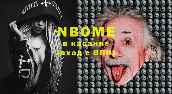 стаф Абаза