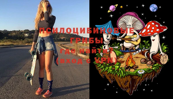 индика Абдулино