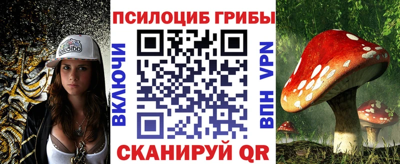 Галлюциногенные грибы GOLDEN TEACHER  маркетплейс какой сайт  Азнакаево 